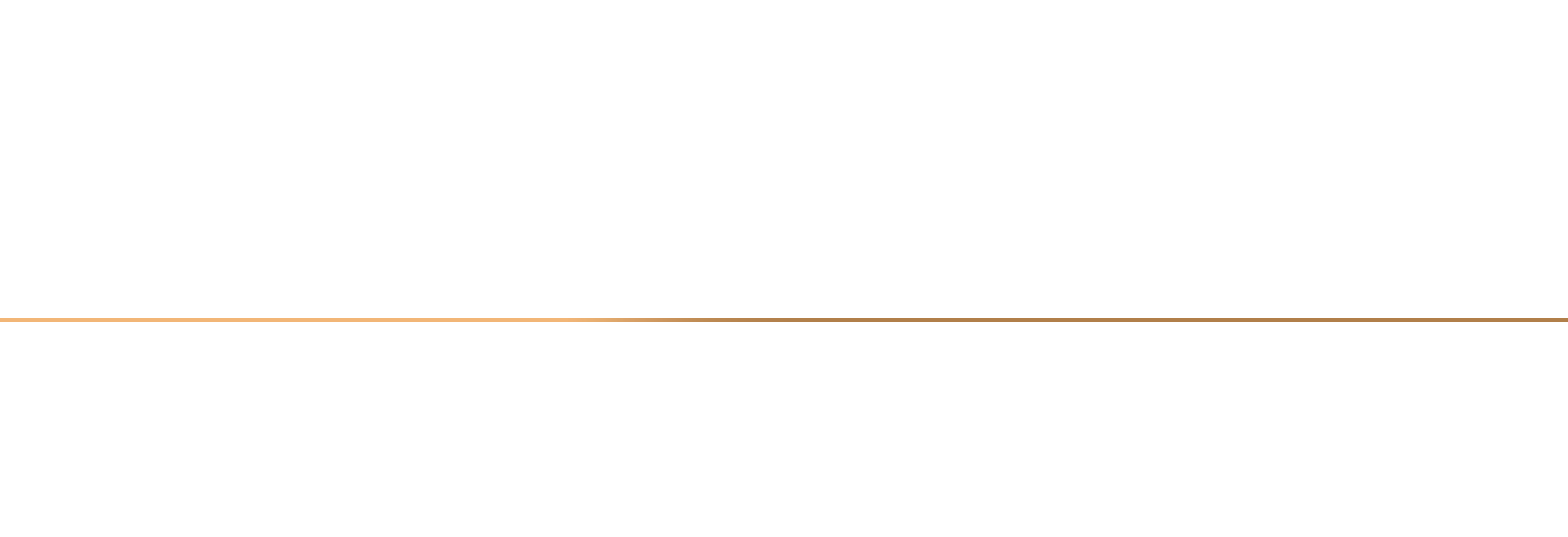 spazio logo grande